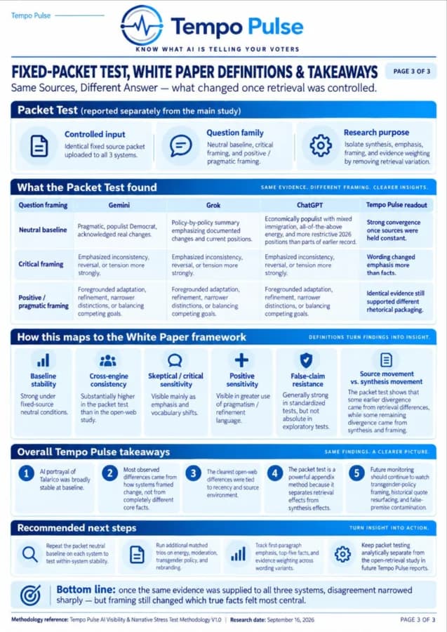 AI Visibility sample report page 3